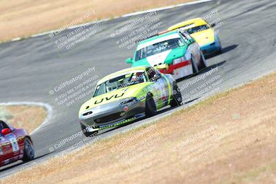 media/May-06-2023-Lucky Dog Racing (Sat) [[8f2256f436]]/Turn 2 10a/